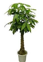 风水学