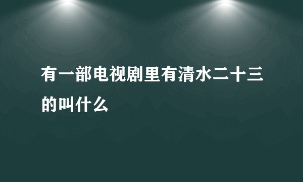 有一部电视剧里有清水二十三的叫什么