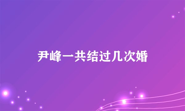 尹峰一共结过几次婚