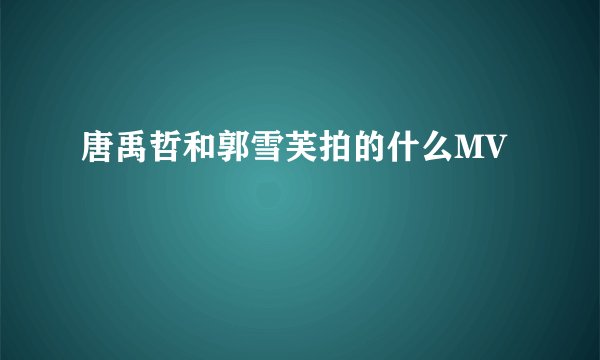 唐禹哲和郭雪芙拍的什么MV