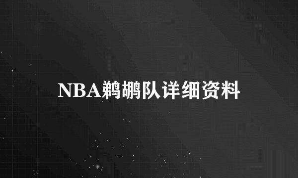 NBA鹈鹕队详细资料