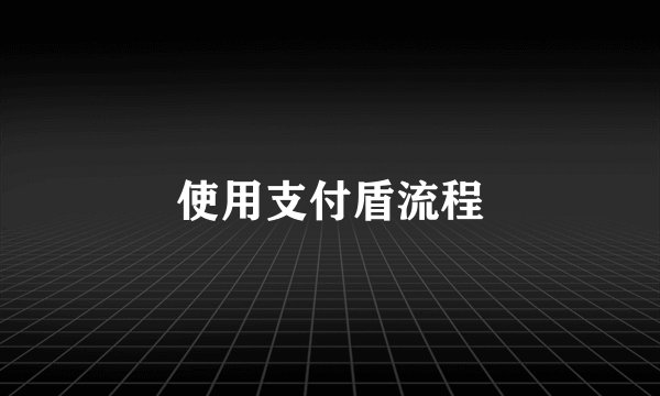 使用支付盾流程