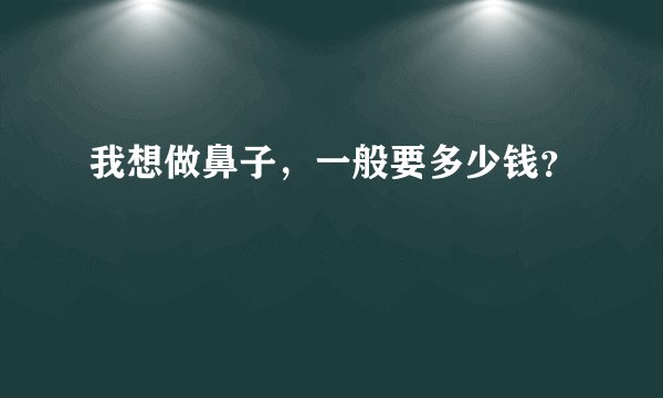 我想做鼻子，一般要多少钱？