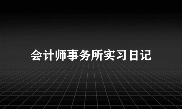 会计师事务所实习日记