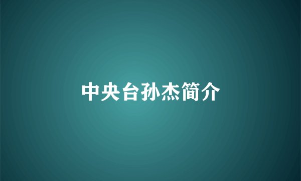 中央台孙杰简介