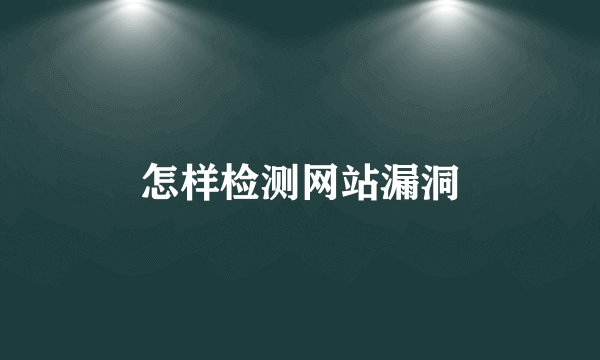 怎样检测网站漏洞
