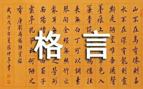 参赛格言