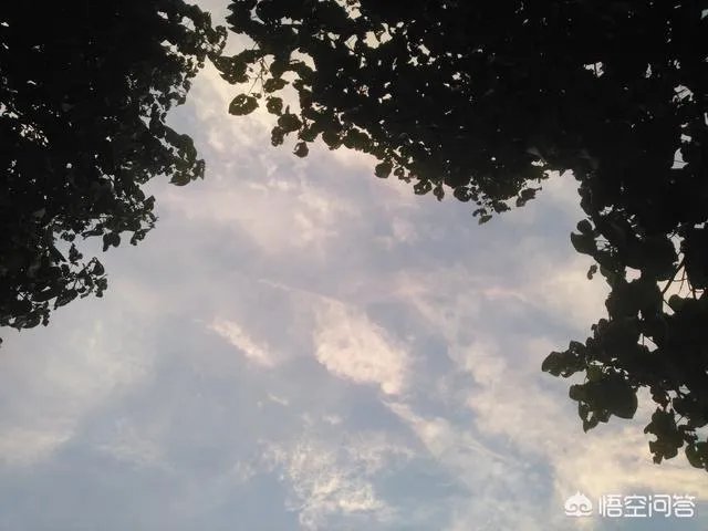 联想z5这款手机怎么样?