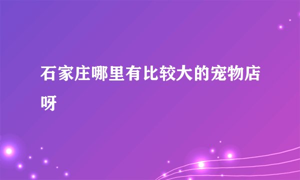 石家庄哪里有比较大的宠物店呀