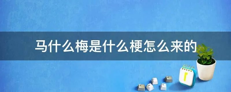 马什么梅是什么梗怎么来的