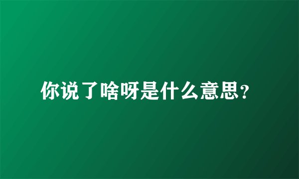 你说了啥呀是什么意思？