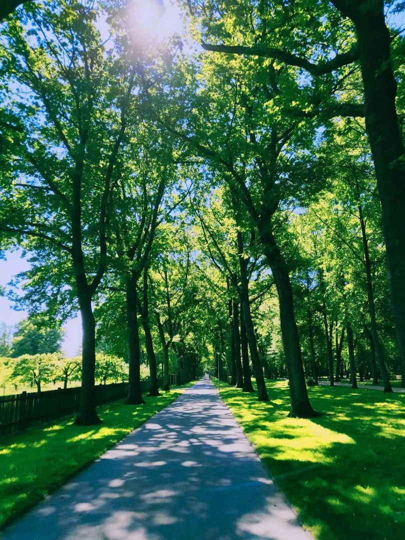 买个音乐节门票要等十年？德国这座城魅力非凡！