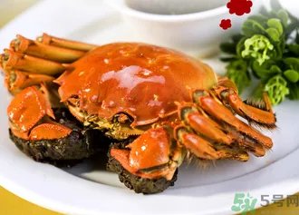 九月份吃公蟹还是母蟹?公蟹和母蟹哪个更好吃?