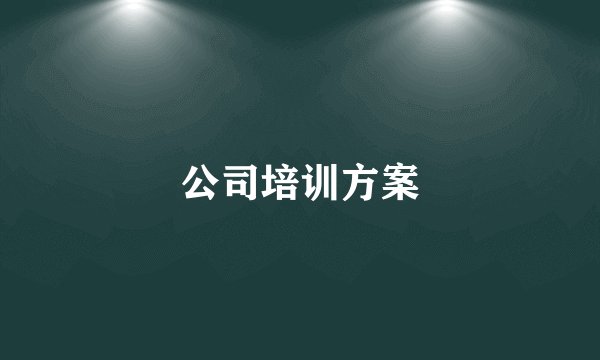 公司培训方案