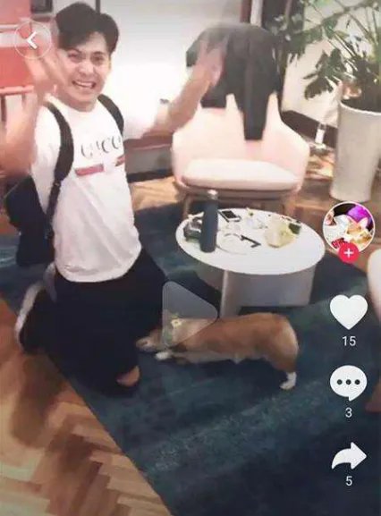 杜若溪发文写了什么?