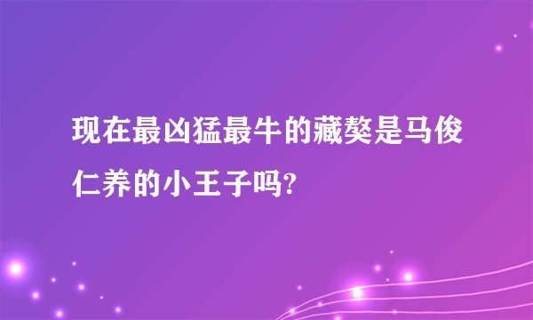 现在最凶猛最牛的藏獒是马俊仁养的小王子吗?