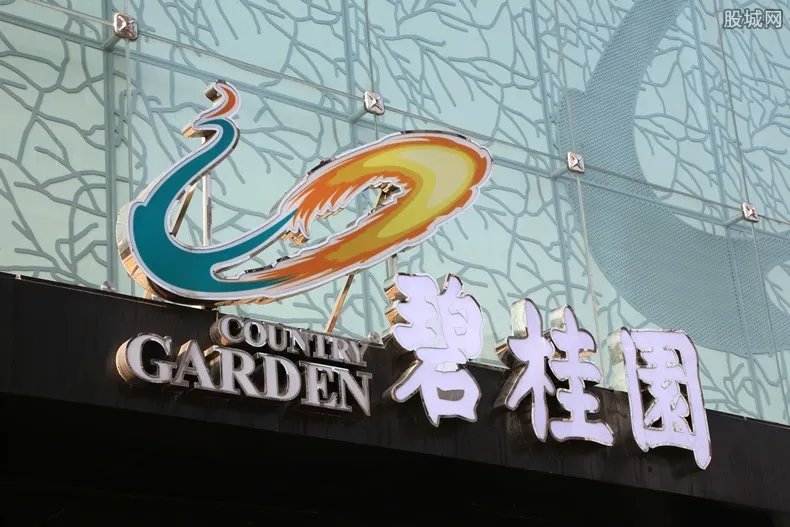 碧桂园2020房价6.5折 低价打折出售是真的?