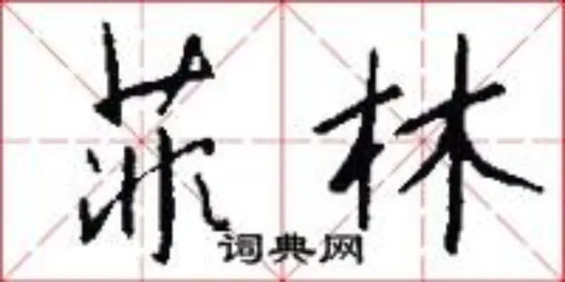 菲林