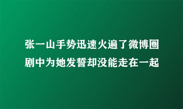 张一山手势迅速火遍了微博圈剧中为她发誓却没能走在一起