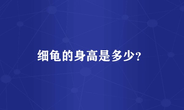 细龟的身高是多少？
