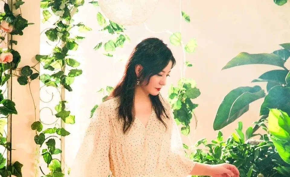 在《中餐厅》这个综艺节目里面,你最喜欢哪一个嘉宾?