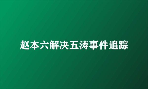 赵本六解决五涛事件追踪