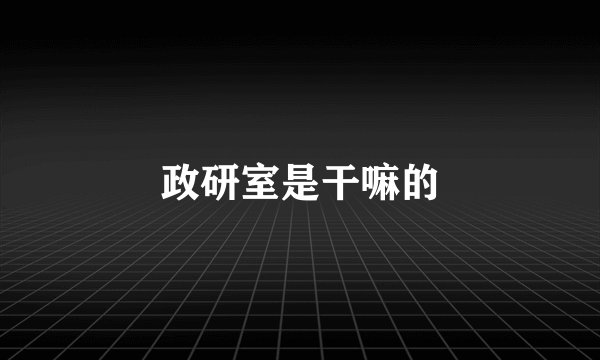 政研室是干嘛的
