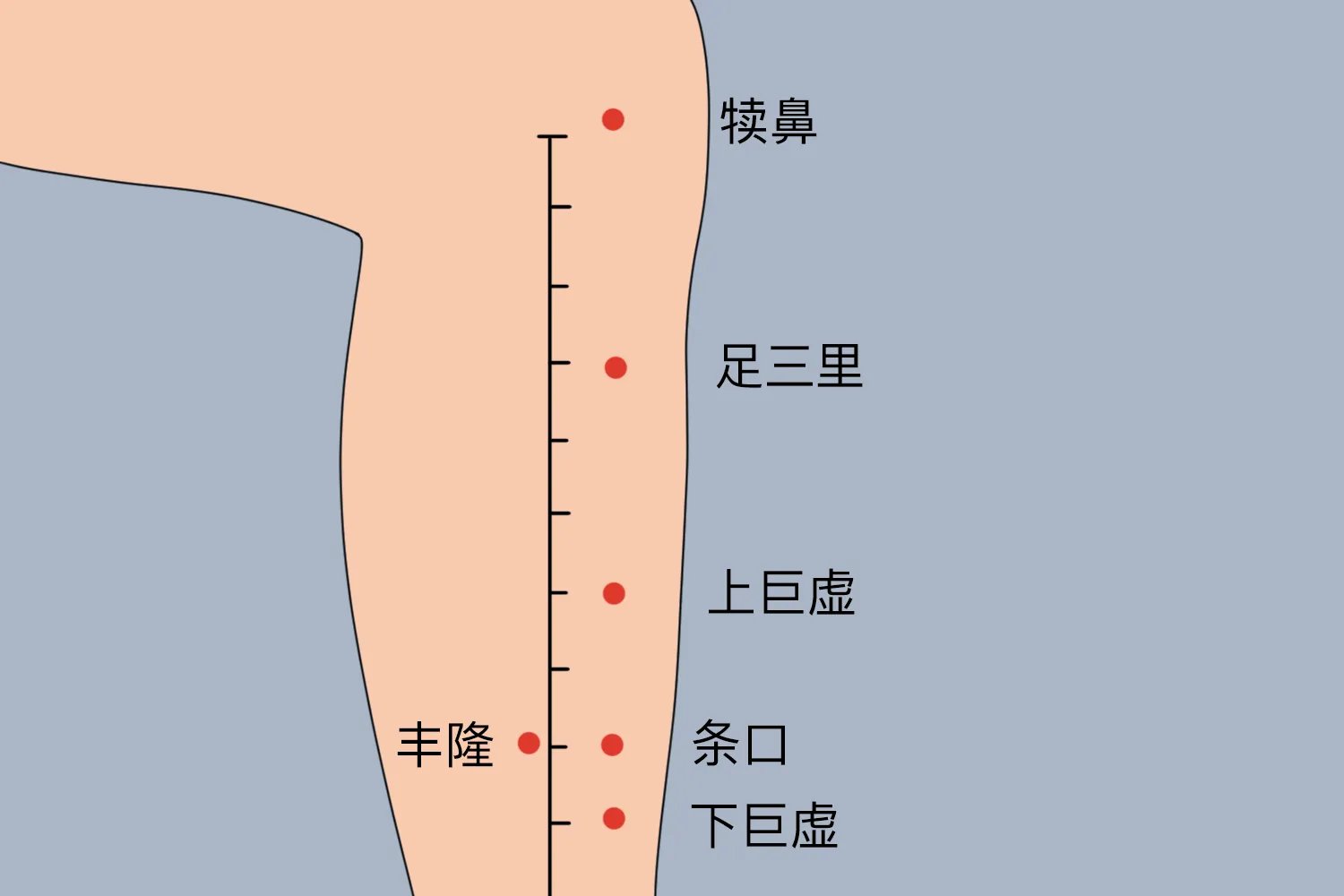 脾胃贴贴在哪个位置示意图