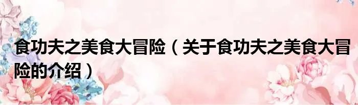 食功夫之美食大冒险(关于食功夫之美食大冒险的介绍)