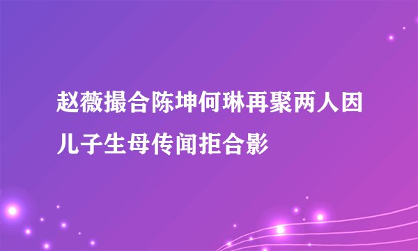 赵薇撮合陈坤何琳再聚两人因儿子生母传闻拒合影