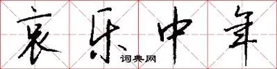 哀乐中年
