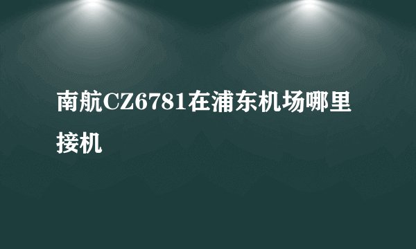 南航CZ6781在浦东机场哪里接机