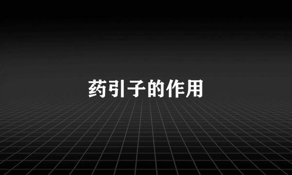 药引子的作用