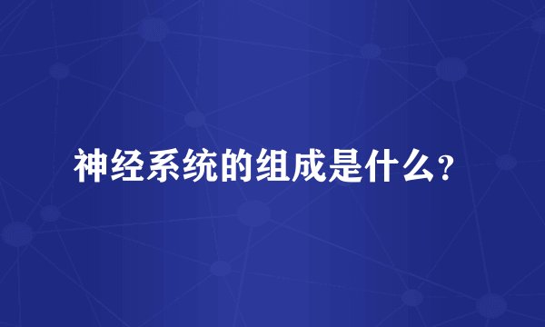 神经系统的组成是什么？