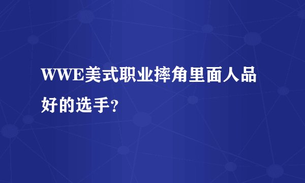WWE美式职业摔角里面人品好的选手？