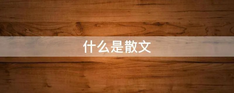 什么是散文