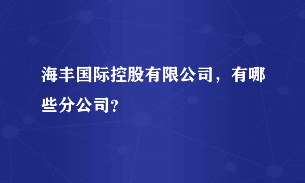 海丰国际控股有限公司，有哪些分公司？