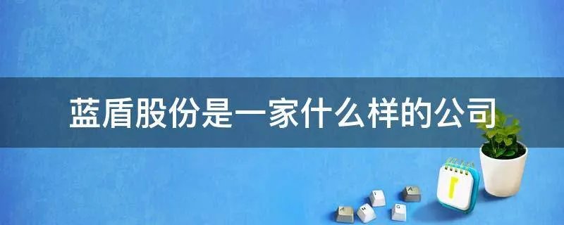 蓝盾股份是一家什么样的公司