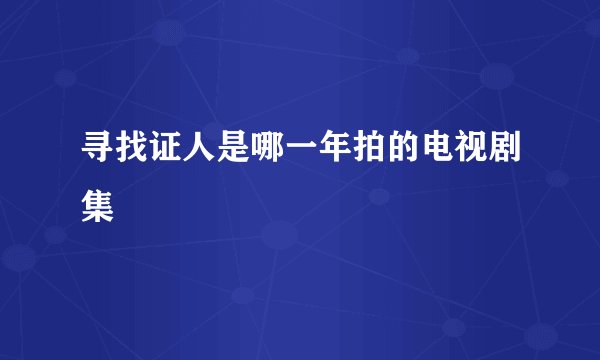 寻找证人是哪一年拍的电视剧集