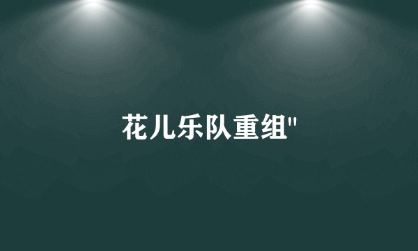 花儿乐队重组