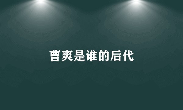 曹爽是谁的后代