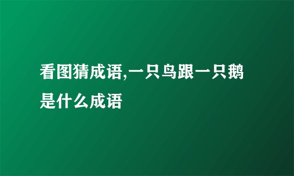 看图猜成语,一只鸟跟一只鹅是什么成语