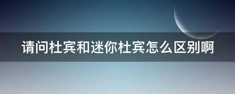 请问杜宾和迷你杜宾怎么区别啊