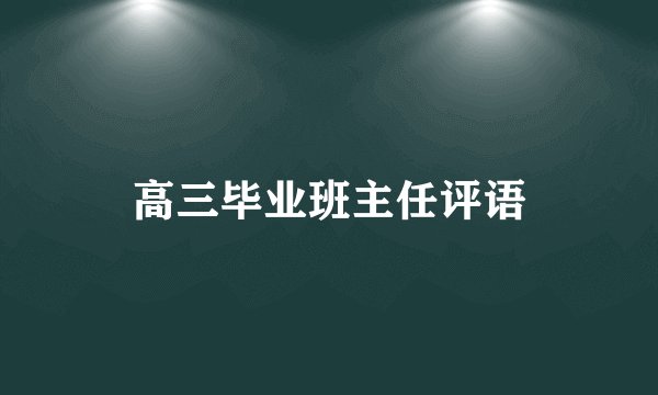 高三毕业班主任评语