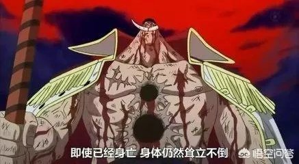 藤虎如果早两年当上大将,他的果实能力能挡住白胡子进攻吗?
