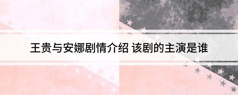 王贵与安娜剧情介绍 该剧的主演是谁