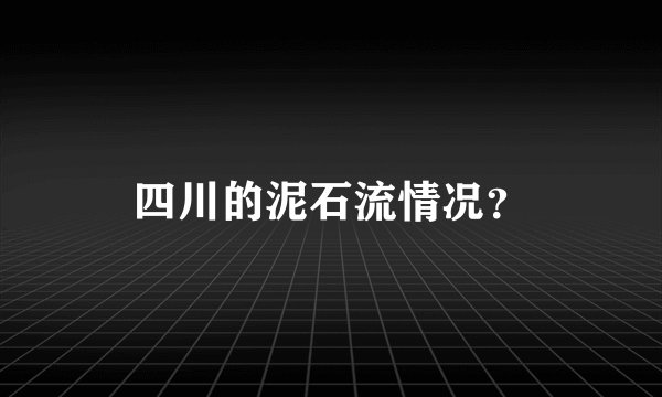 四川的泥石流情况？