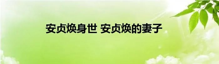 安贞焕身世 安贞焕的妻子