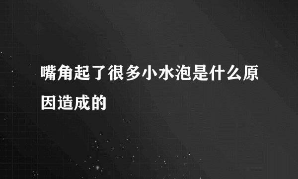 嘴角起了很多小水泡是什么原因造成的