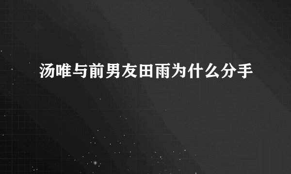 汤唯与前男友田雨为什么分手